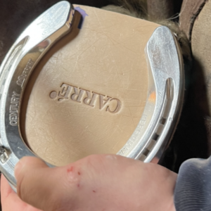 Huftechnik Ausbildung (bmg)