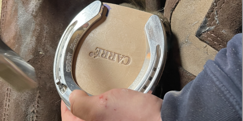 Huftechnik Ausbildung (bmg)