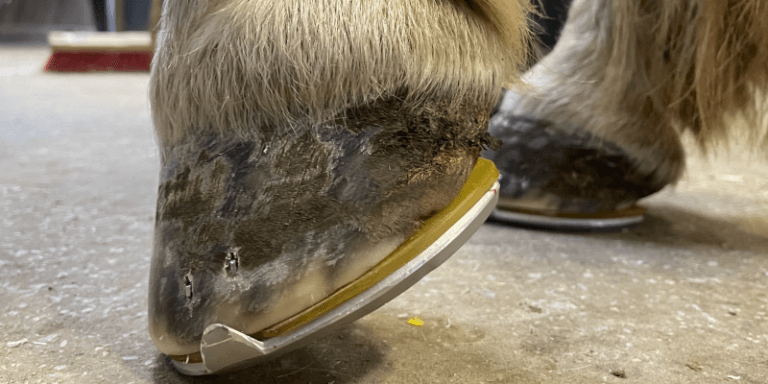 Bildschirmfoto-2023-04-09-um-14.42.51-800x400