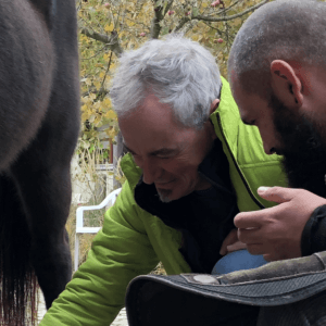 Hufpflege Ausbildung Österreich (bmg)