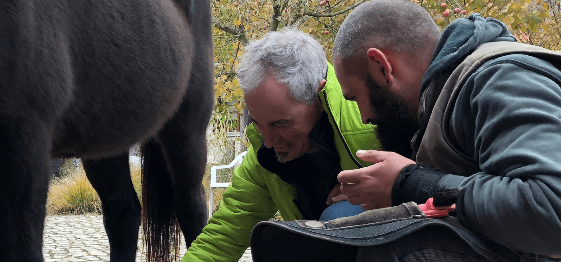 Hufpflege Ausbildung Österreich (bmg)