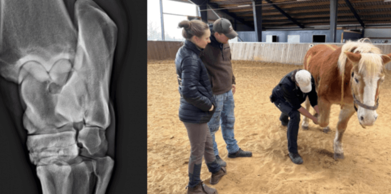 Bildschirmfoto 2024-01-05 um 23.58.21