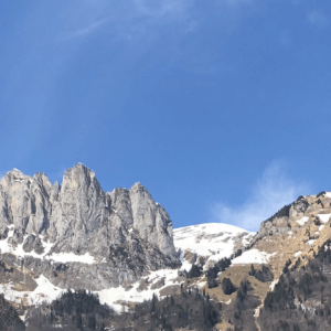 Hufpflege FBA Ausbildung (Kursort Schweiz)