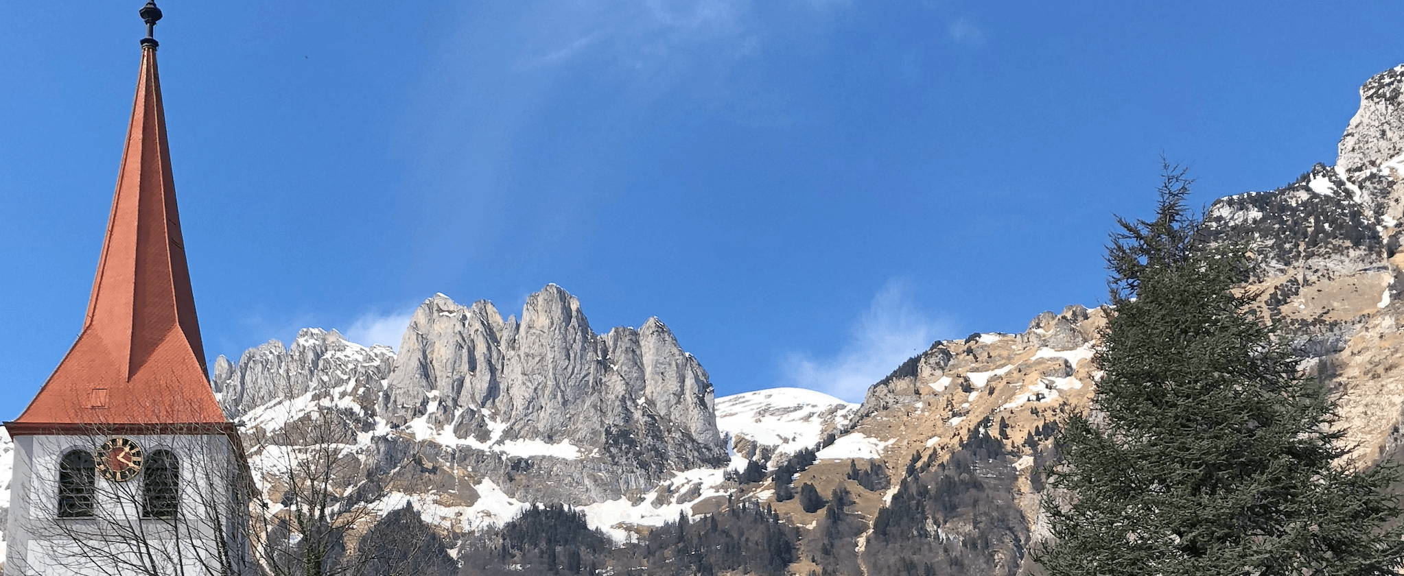 Hufpflege FBA Ausbildung (Kursort Schweiz)