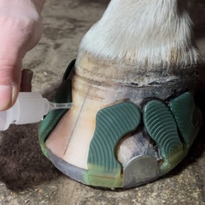 Kunststoff Weiterbildung