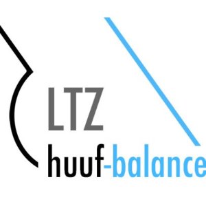 huuf-balance 3-Tageskurs (bmg)